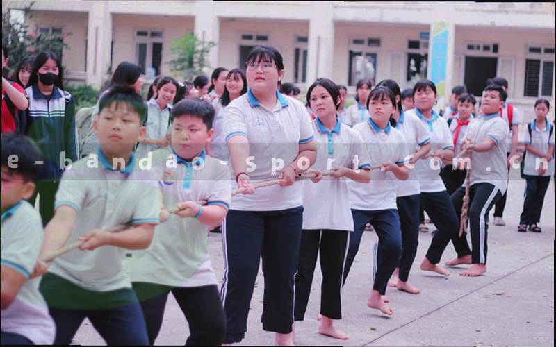 桌面显示器展示折线图和数据表格，旁边是导出按钮